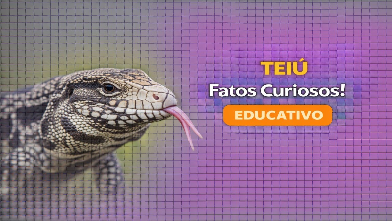 TEIÚ: AS CURIOSIDADES SURPREENDENTES DESSE LAGARTO...
