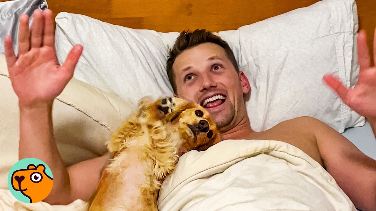 Докси украла парня у девушки, чтобы поспать с ней | Cuddle Buddies