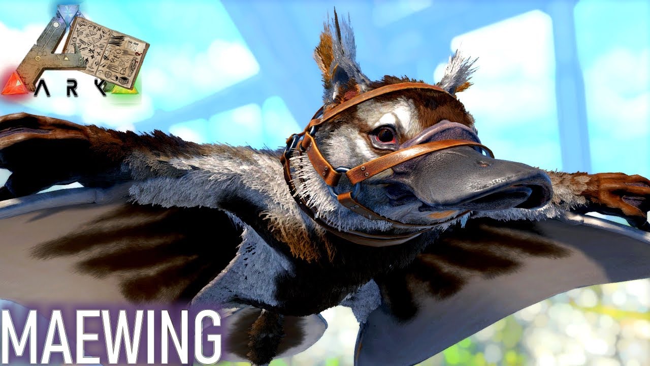 MAEWING - TAMING/CAPACITÉS [Dino Dossier 📖]