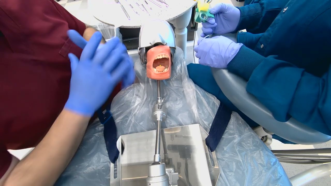 Root Canal Treatment Practice For Dental Assistants - HCC