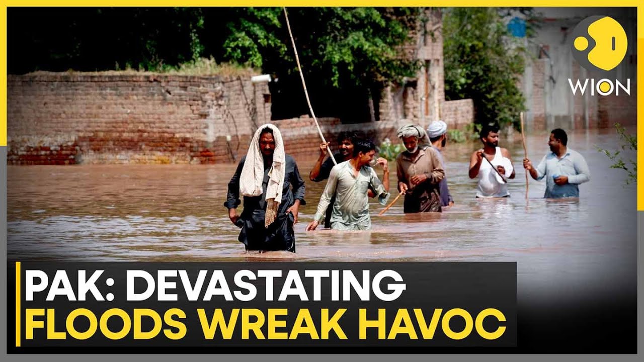 Pakistan Floods: More Than 820 People Killed, Rescue Operations Underway | WION News