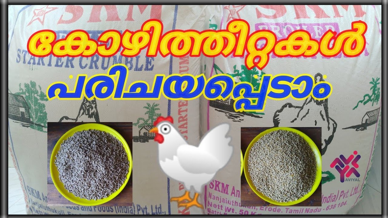 കോഴി തീറ്റകൾ പരിചയപ്പെടാം... KOZHI THEETTA... KOZHI VALARTHAL TIPS , POULTRY TIPS