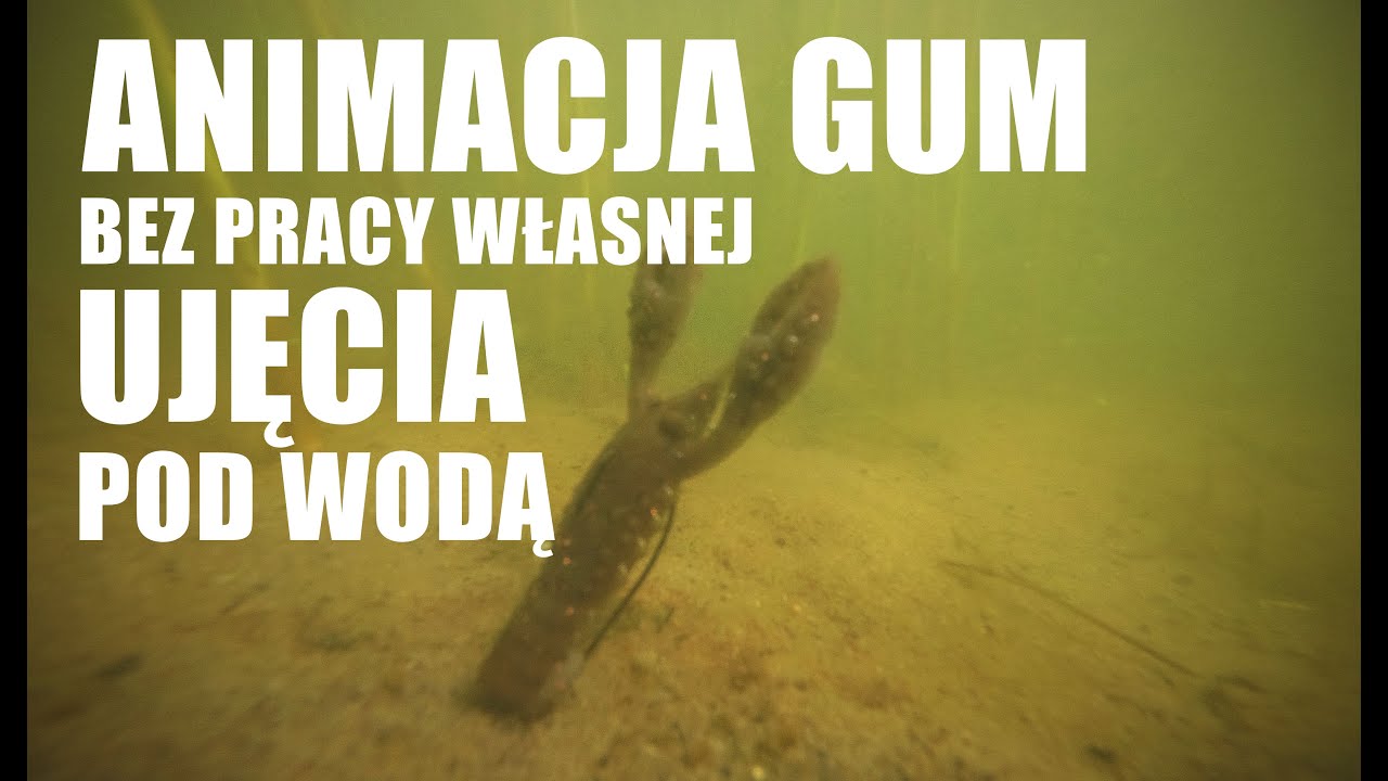 Animacja gum bez pracy własnej - ujęcia pod wodą | jig rig, ned rig, texas rig, carolina rig i inne