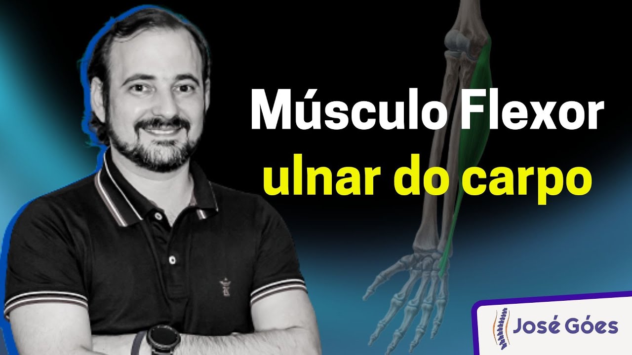 Músculo flexor ulnar do carpo | José Góes