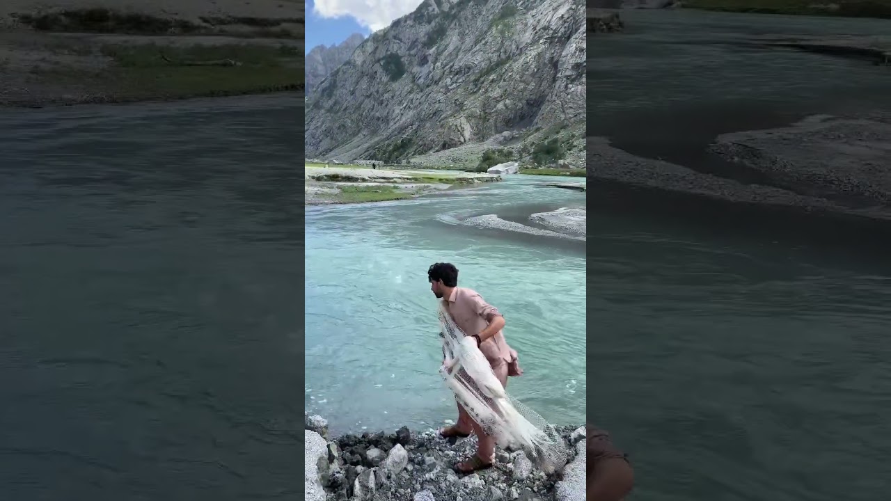 Hunting of Trout fish 🎣😱😰 Swat kalam #viral #travel #trending #shorts #troutfishing #goneviral