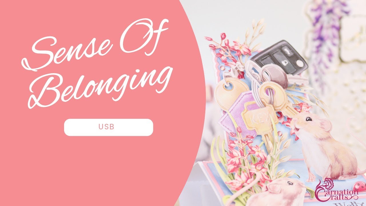 Carnation Crafts TV - Sense of Belonging USB