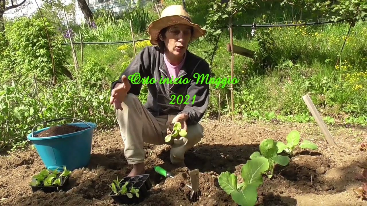 Orto inizio maggio 2021