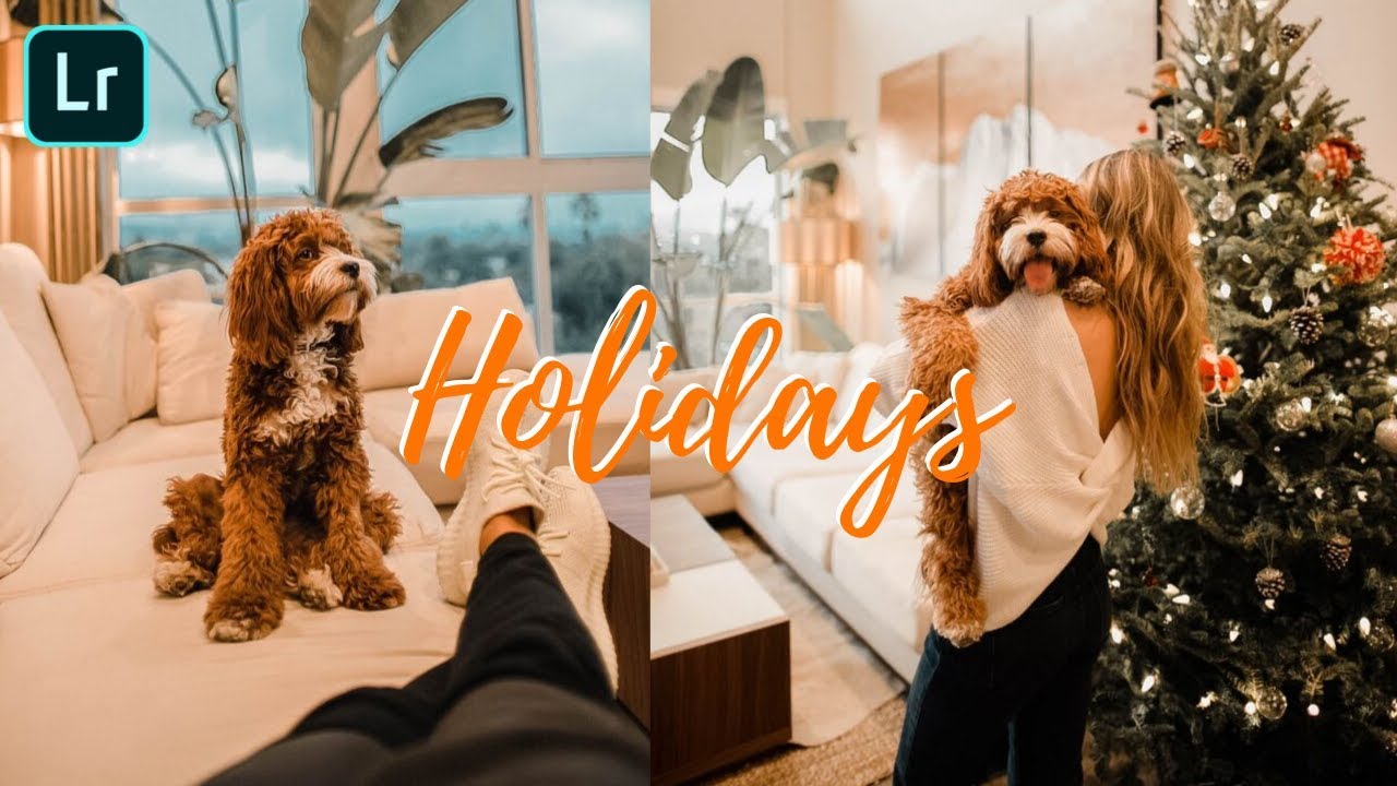 Lightroom Mobile Presets Free Dng | Lightroom Presets Tutorial | Holidays Preset