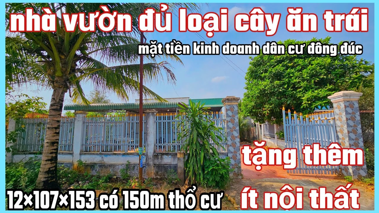 Nhà vườn cây ăn trái đủ loại tặng lại nội thất mặt tiền 12×107×153 có 150m tc giảm còn 1tỷ 450tr bs
