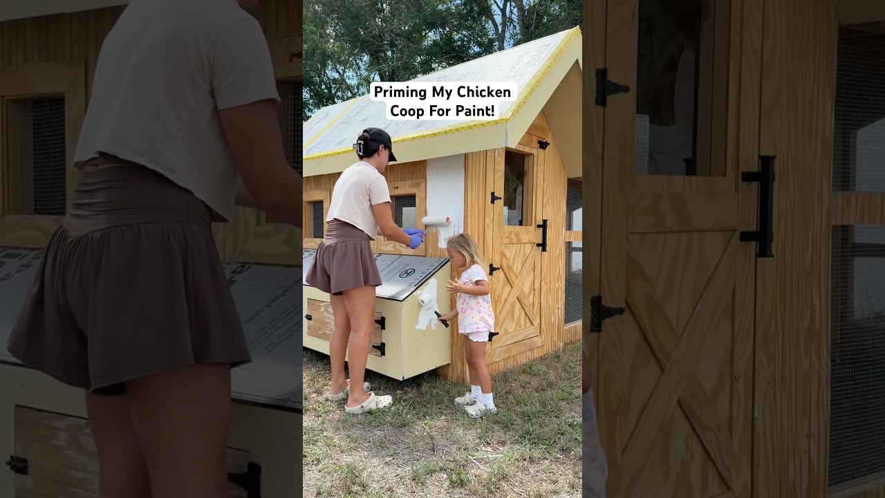 Priming My Chicken Coop For Paint! 