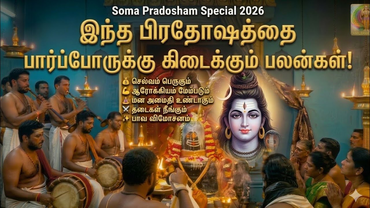 சோம பிரதோஷ சிறப்பு  மேளதாளங்கள் முழங்க சிவபெருமான் பிரம்மாண்ட அபிஷேகம்!🙏✨|Soma Pradosham Special2026