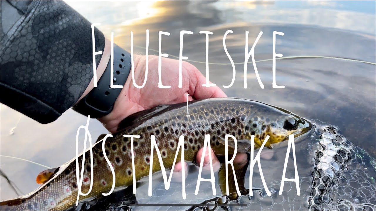 Fluefiske i Østmarka - Den satt til slutt