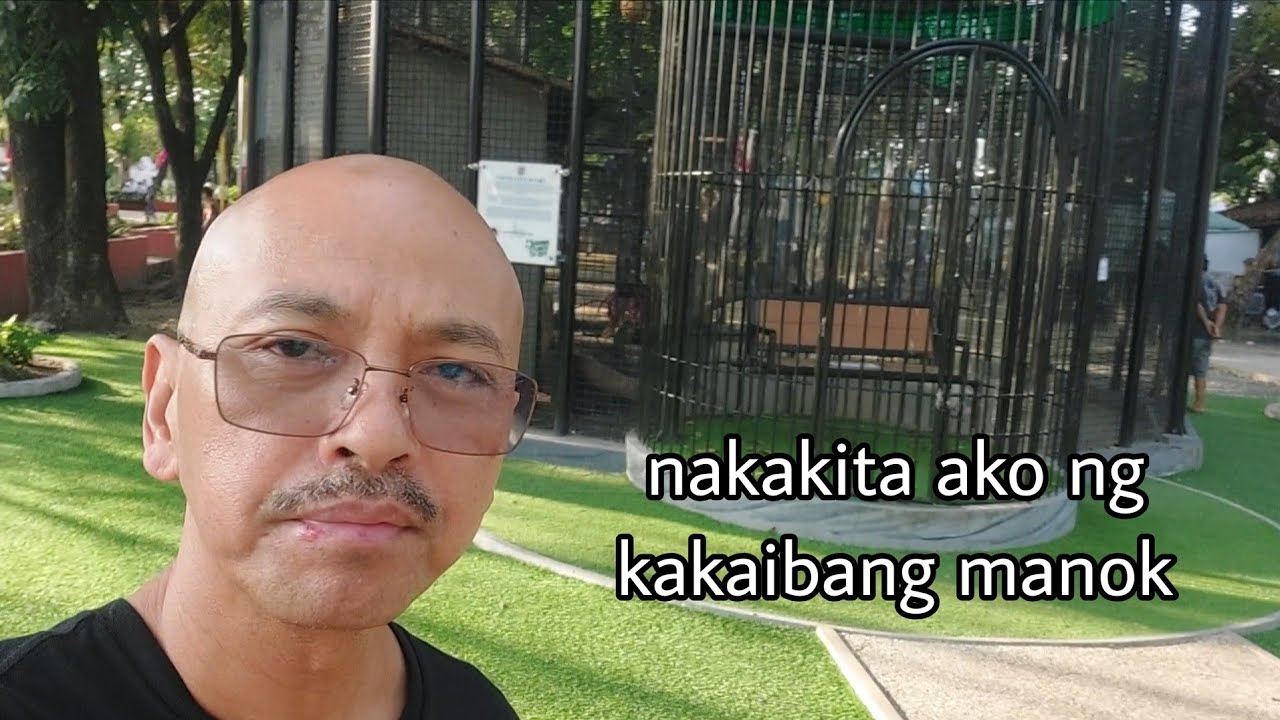 KAKAIBANG MANOK IBON ANG MAKIKITA DITO
