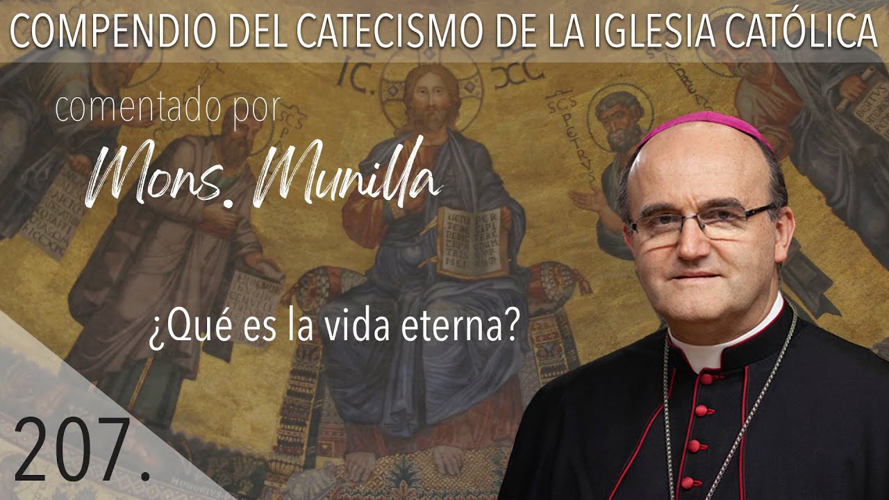 nº 207 ¿Qué es la vida eterna?