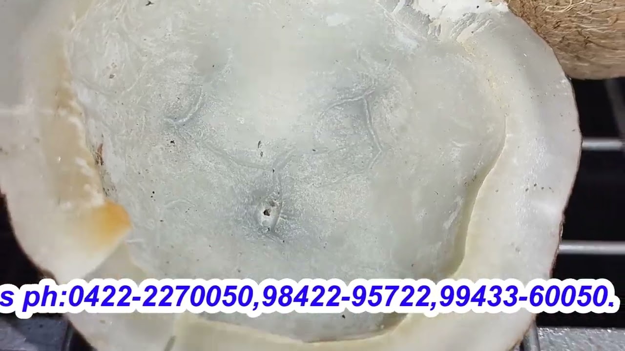 #coconut