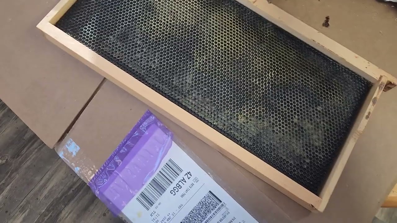 Beekeeping- getting frames ready for new season