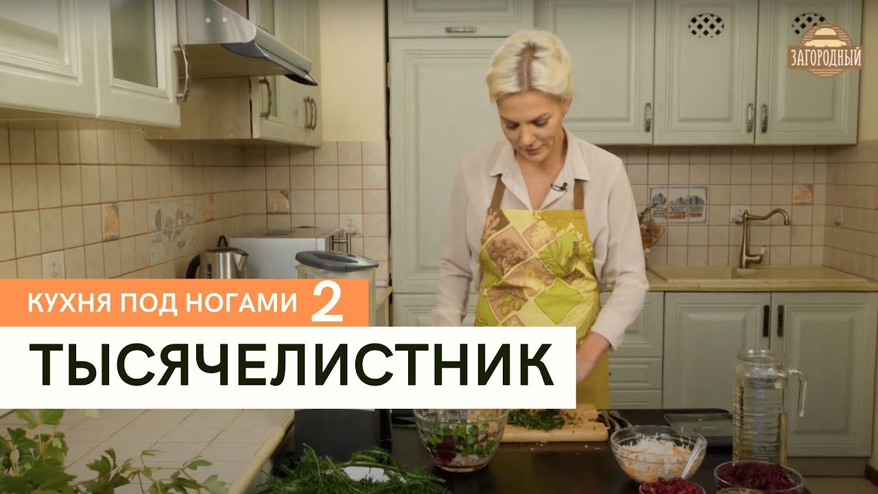 Тысячелистник \ Кухня под ногами. Сезон 2