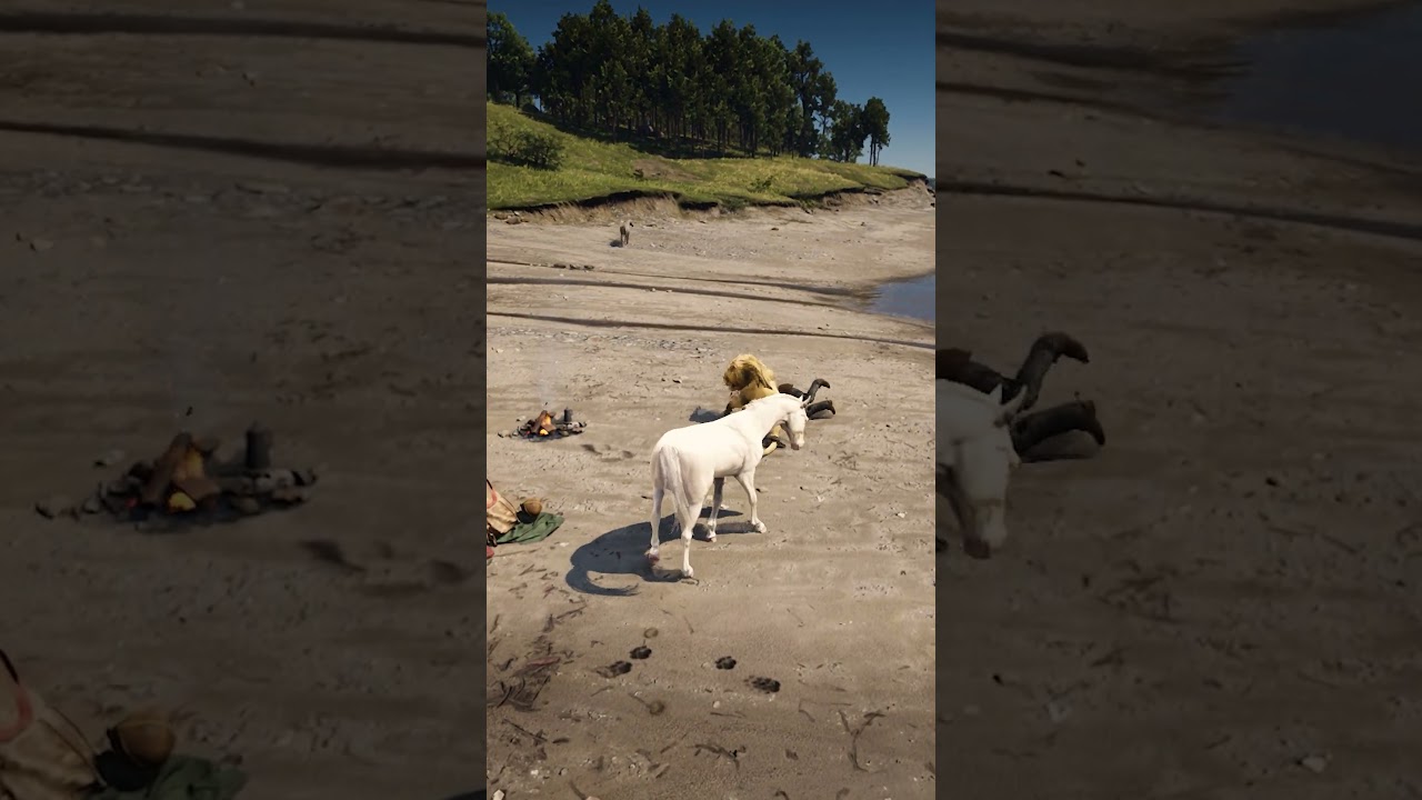 Survival Skill in Red Dead Redemption 2 P1189 