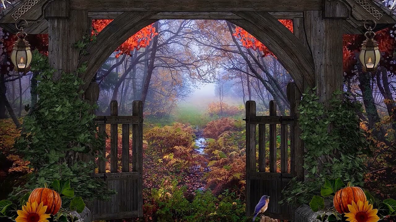 Through an Old Gate into the Autumn Woods On a Rainy Day Fall Cottagecore ASMR Ambience Thanksgiving