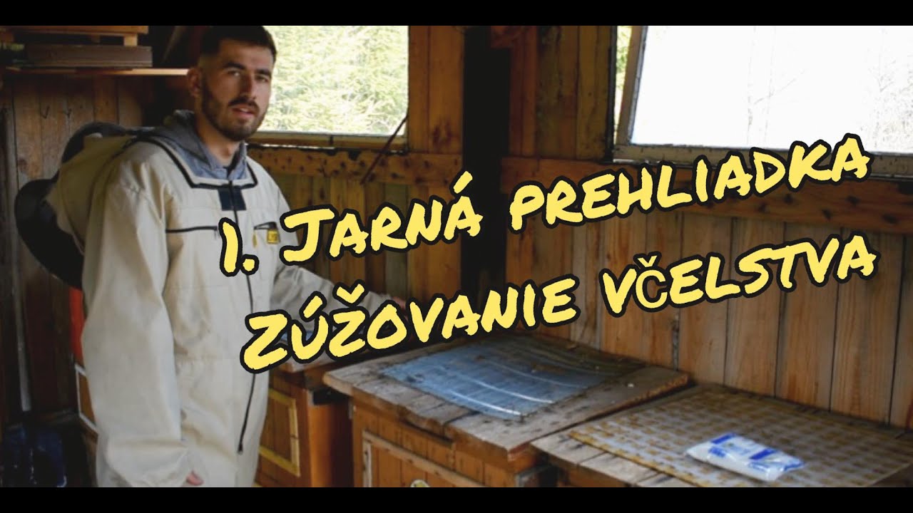 1. jarná prehliadka - zúžovanie včelstva