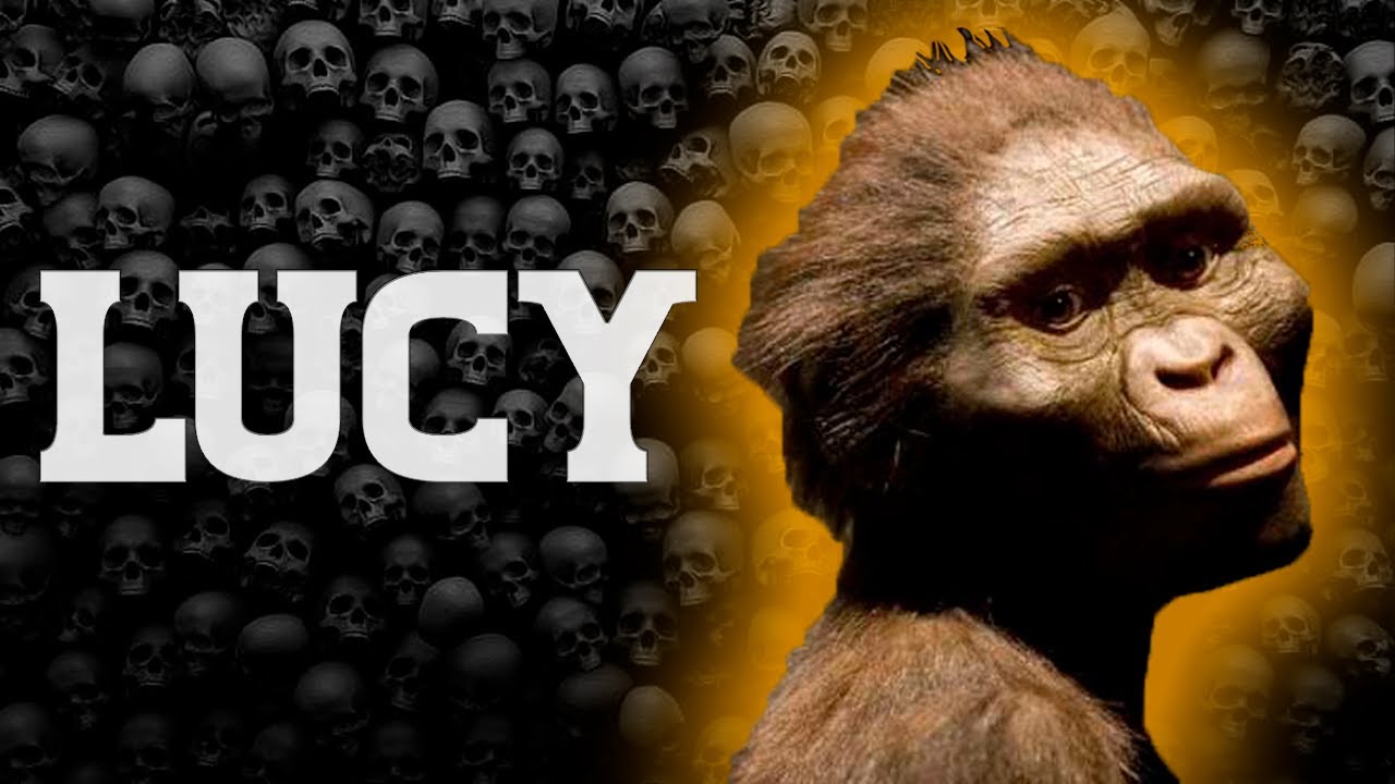 ⏱️ &iquest;Qui&eacute;n es Lucy? | En 1 minuto