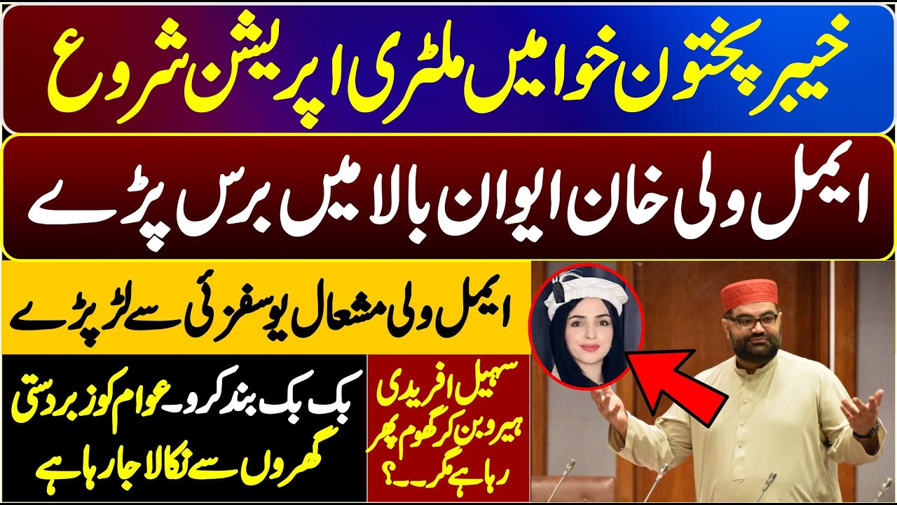 Aimal Wali Khan VS PTI Mashal Yousafzai | Stunning & Emotional Speech In Senate Of Pakistan |