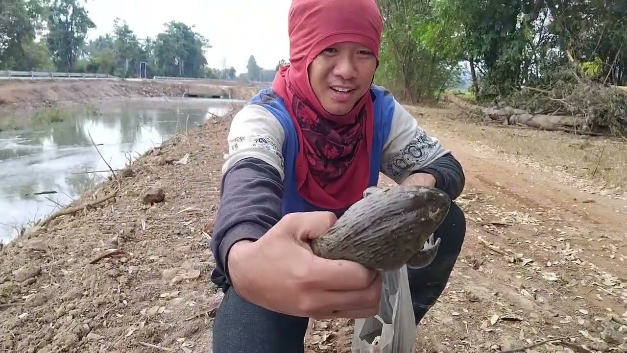 EP:86 หาเลาะดักกุ้งแต่กับได้กบตัวใหญ่มาได้ไง😁😁🐸🐸🐸