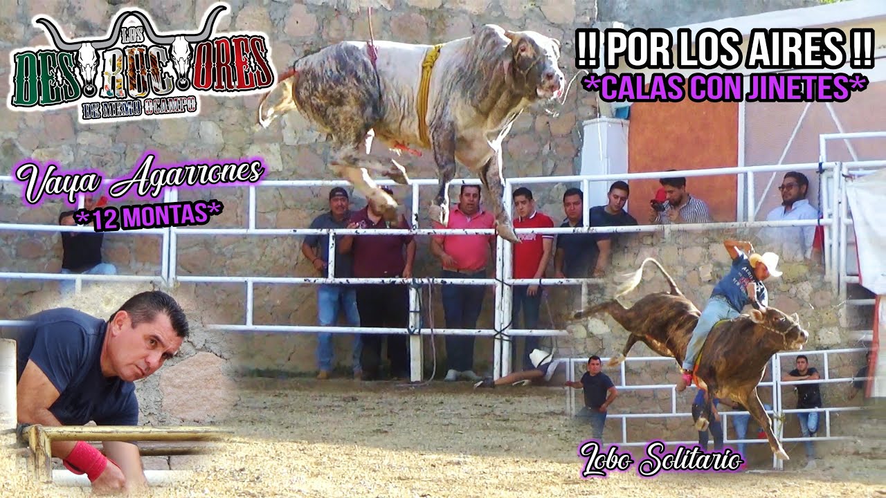 !!Por Los AIRES!! Vaya Agarrones Se Dieron | Calas Con Jinetes | 12 Montas | Los Destructores 2020