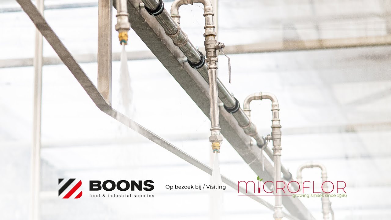 BOONS FIS visits Microflor