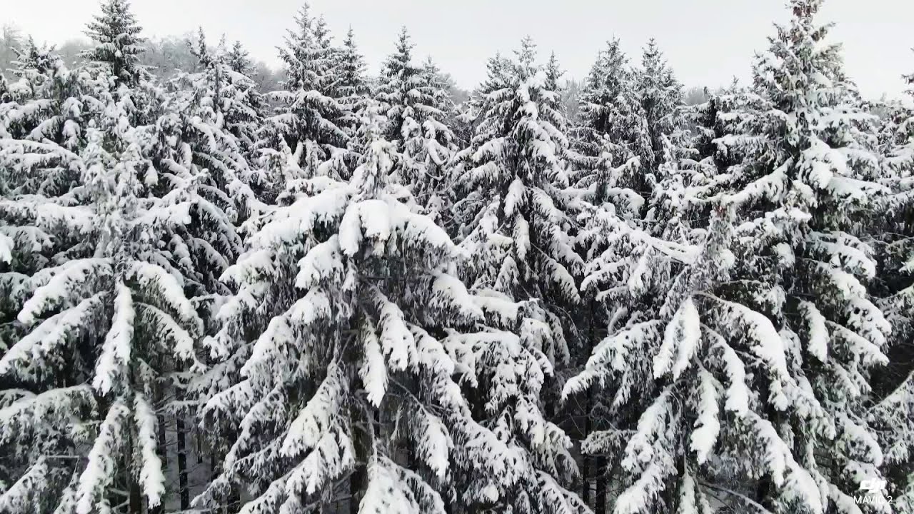 Swabian Alb Winter
