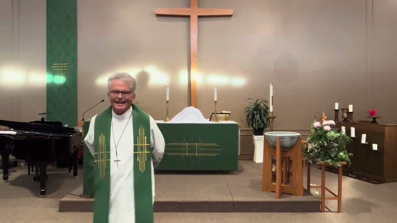 They Don’t Know What They Are Doing 