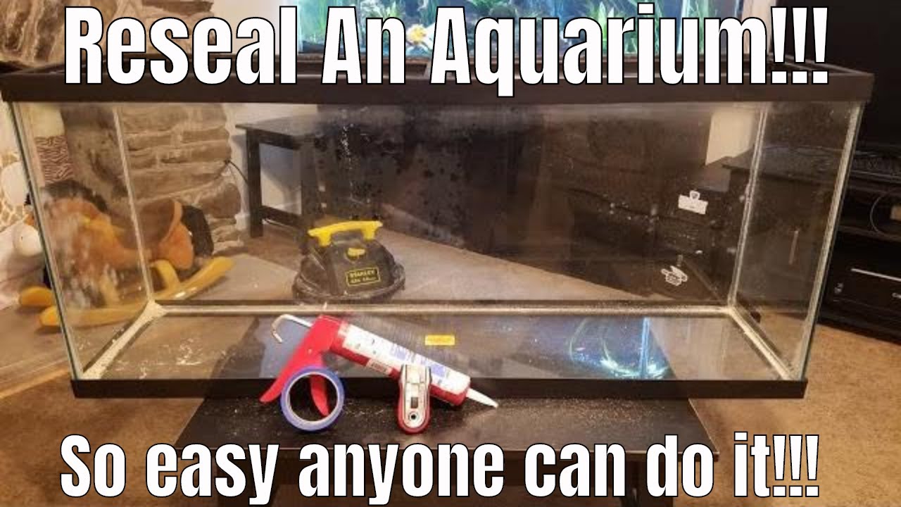 Reseal an aquarium - Full Walk Through!