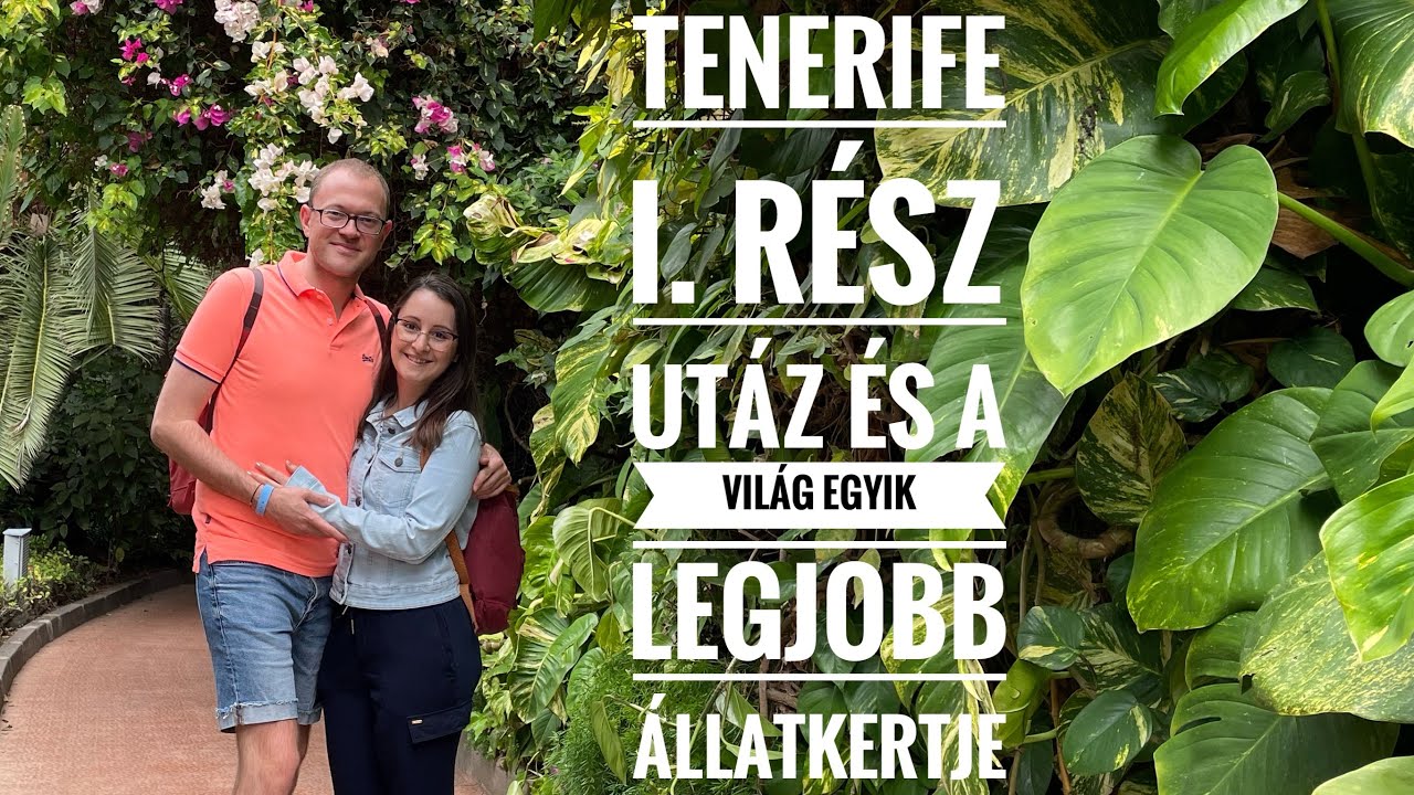Tenerife I. - Utazás és a VILÁG LEGJOBB ÁLLATKERTJE: Loro Park #tenerife #loroparque #kanariszigetek