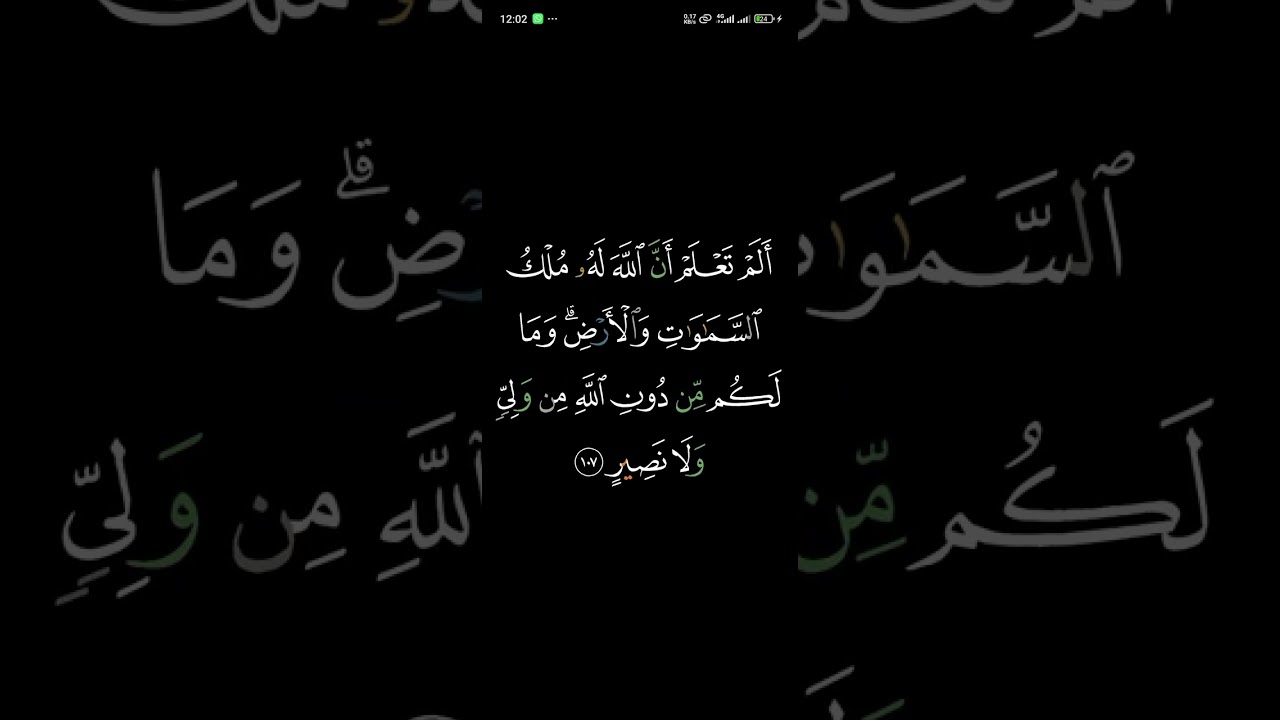 ❤️❤️❤️❤️❤️❤️