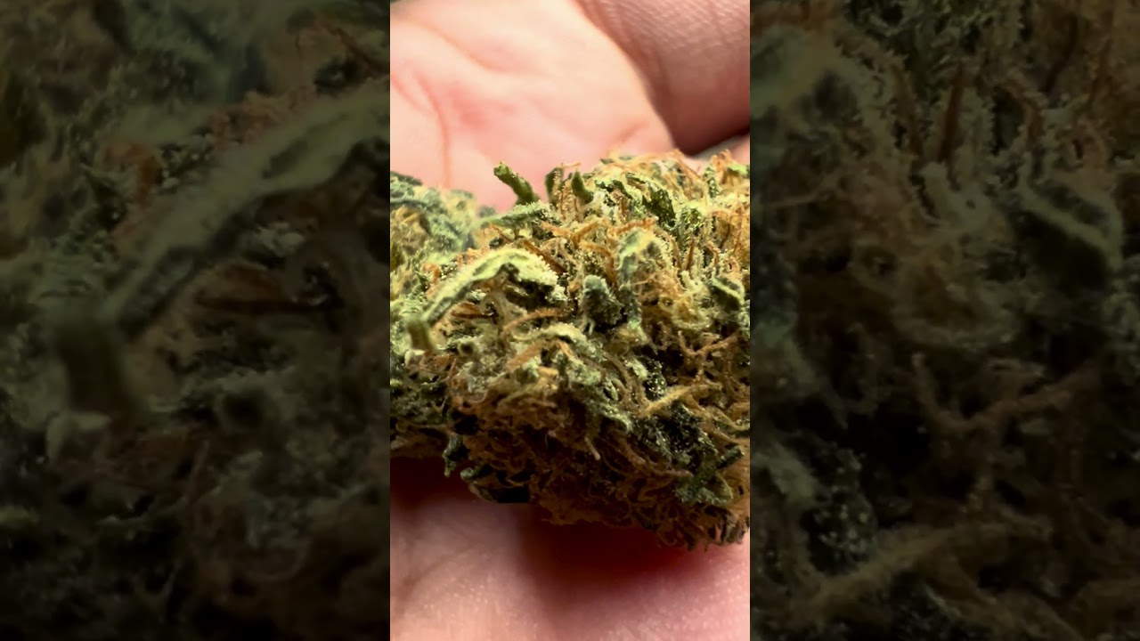 Ripkitty&rsquo;s Delta 8 Sour Space Candy @ Ripkitty.com