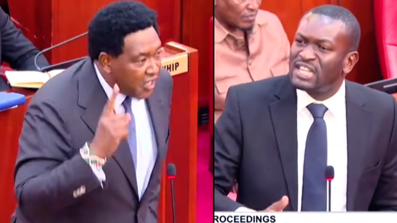 Напряжение нарастает! Смотрите, как Сифуна и Ледама вступают в ожесточенную борьбу в Сенате по по...