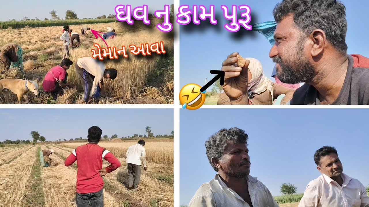 ઘવ નુ કામ પૂરું #dailyvlog #villagelife #viralvideo 