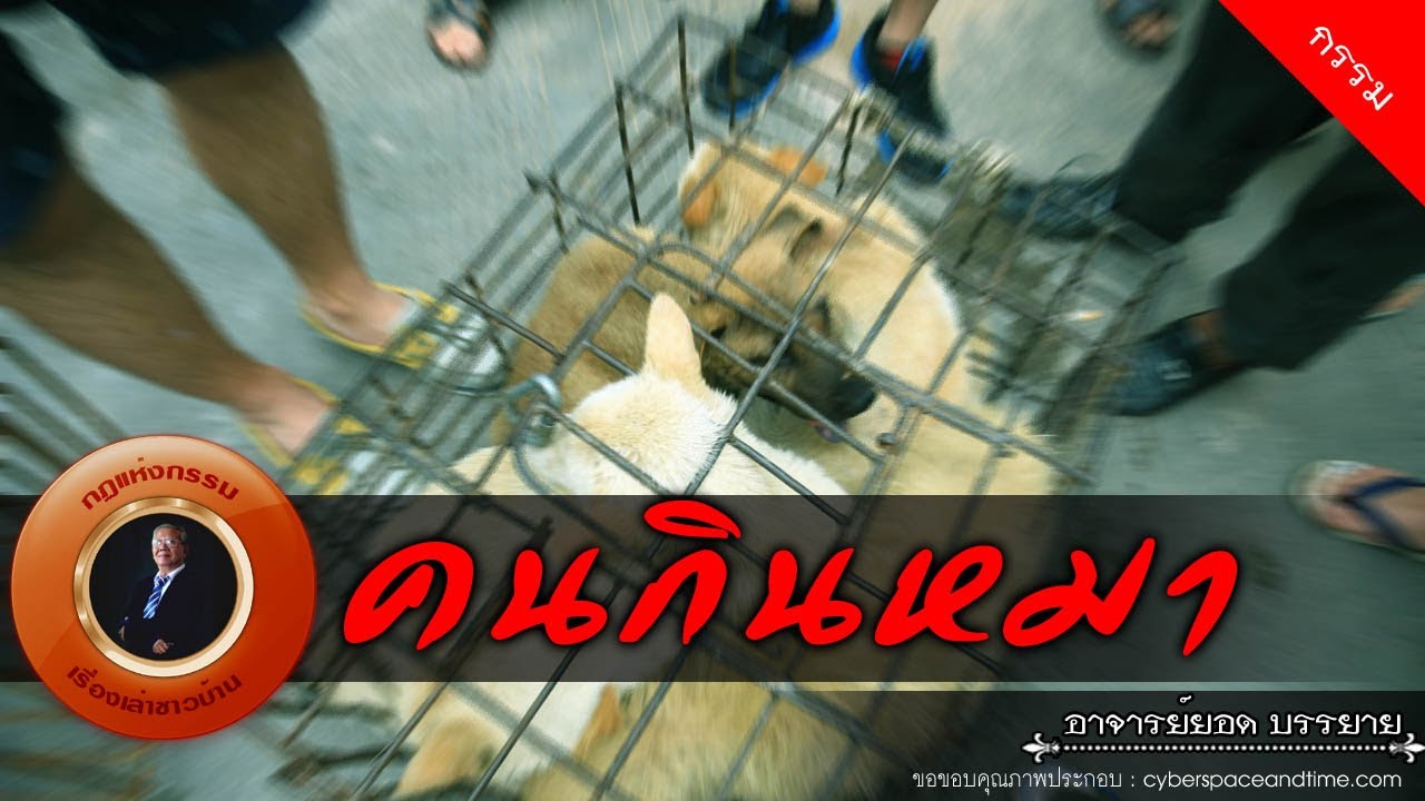 อาจารย์ยอด : คนกินหมา [กรรม]