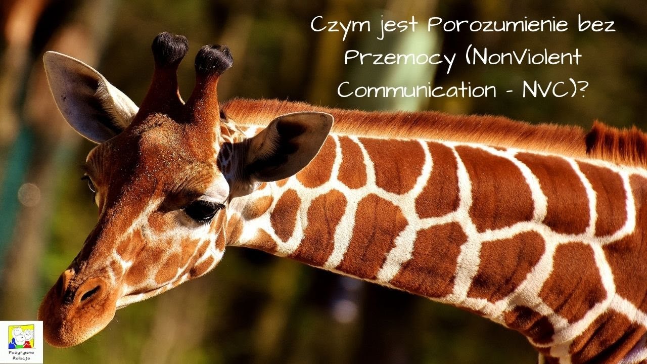 Czym jest Porozumienie bez Przemocy?