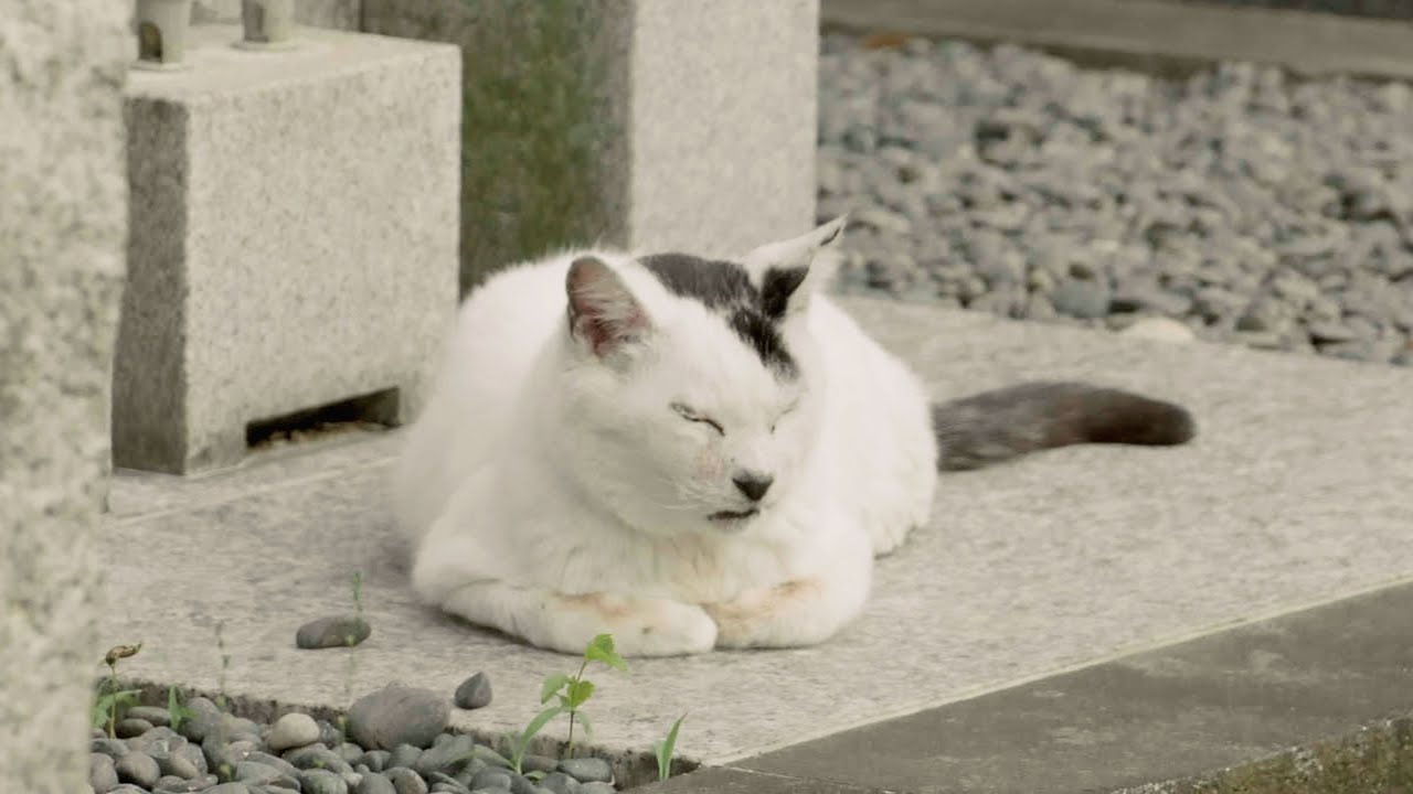 やすらぐねぇ