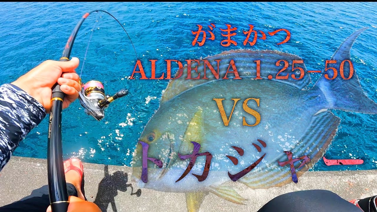 【沖縄】竿が折れて予備竿の細身タックルで強いヤツに挑んでみた