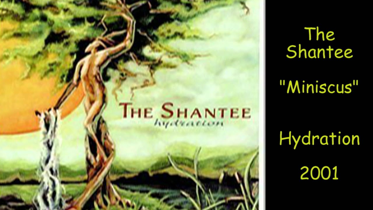 The Shantee (Mike Perkins) - Miniscus