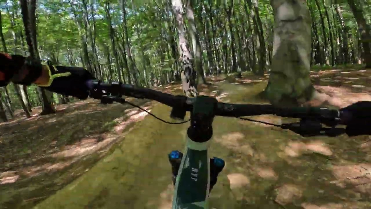 MTb Traily Čern&yacute; les - Tankodrom