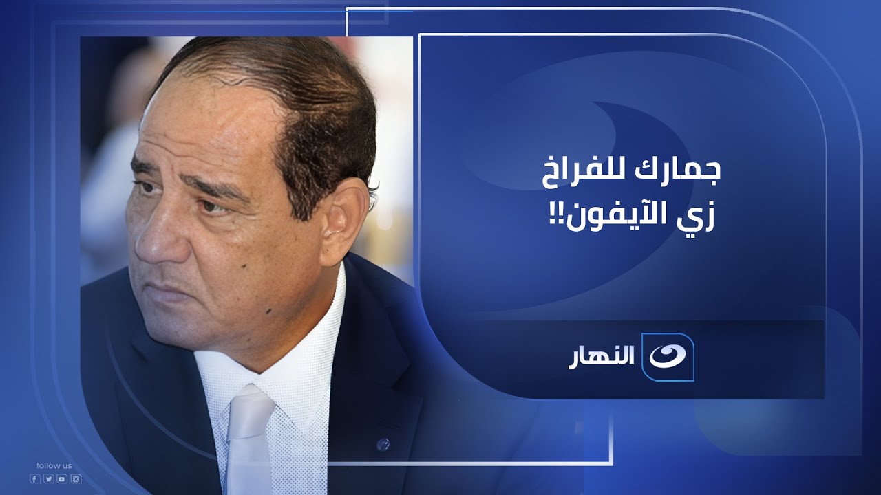 عاوزين جمارك 30% على الفراخ المستوردة زي التليفون .. د. ثروت الزيني مع لميس الحديدي