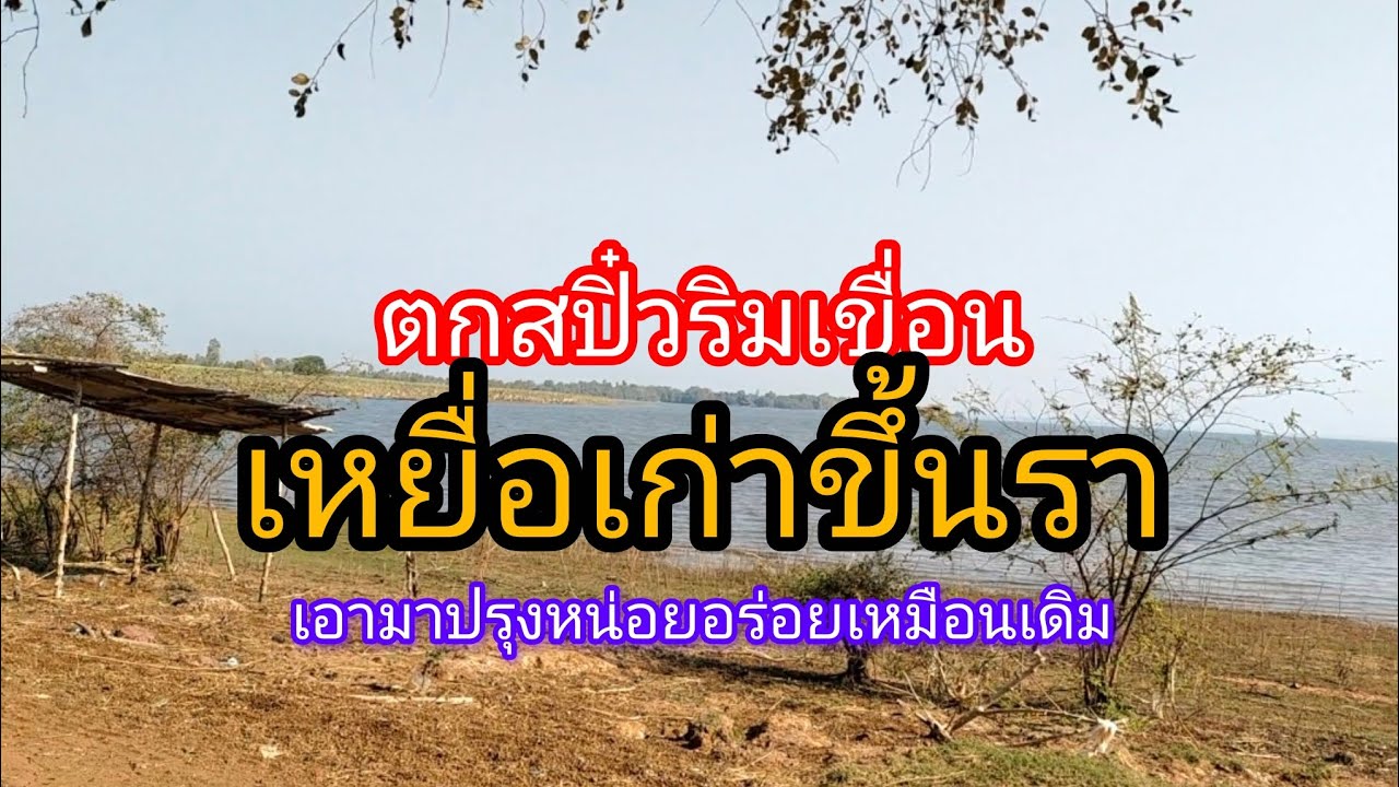 เหยื่อเก่าแห้งขึ้นราเอามาปรุงใหม่ยังใช้งานได้อย่าพึ่งทิ้ง