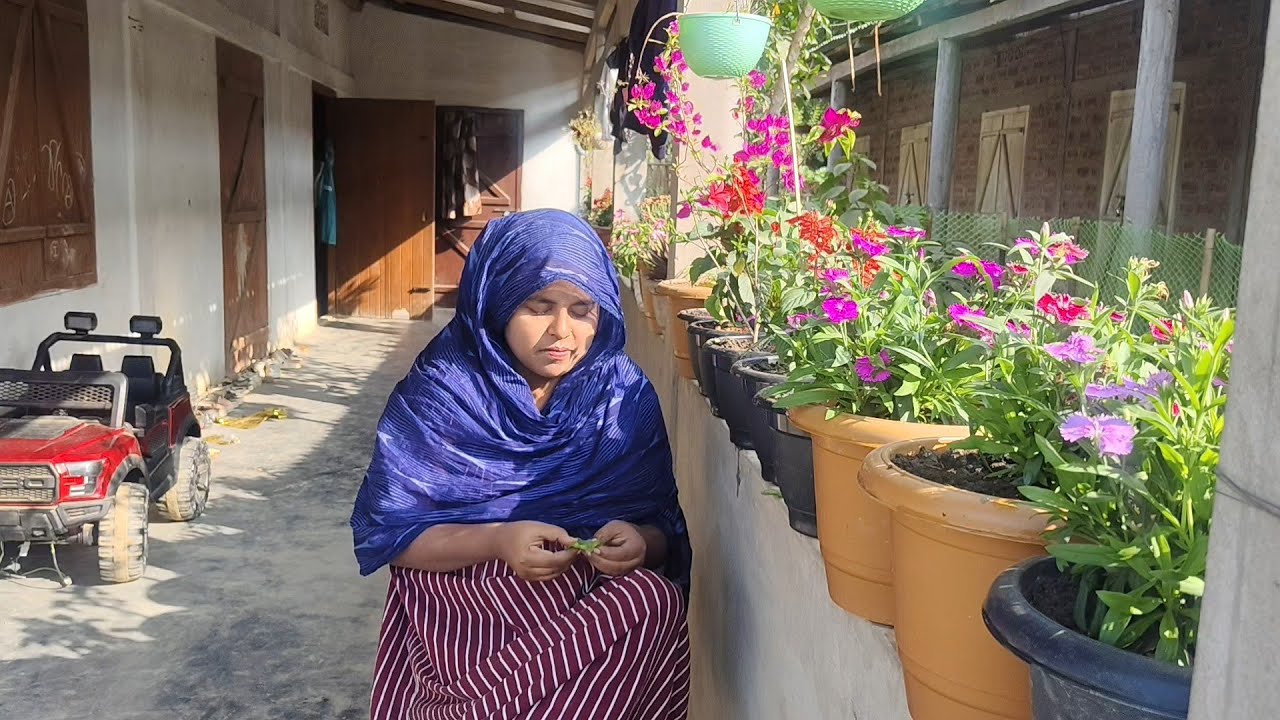 এ যন্ত্রনা আর সহ্য করার নয়//বাড়িঘর ফেলে দুরে কোথাও চলে যাবো! Shuk Dukher Songshar 