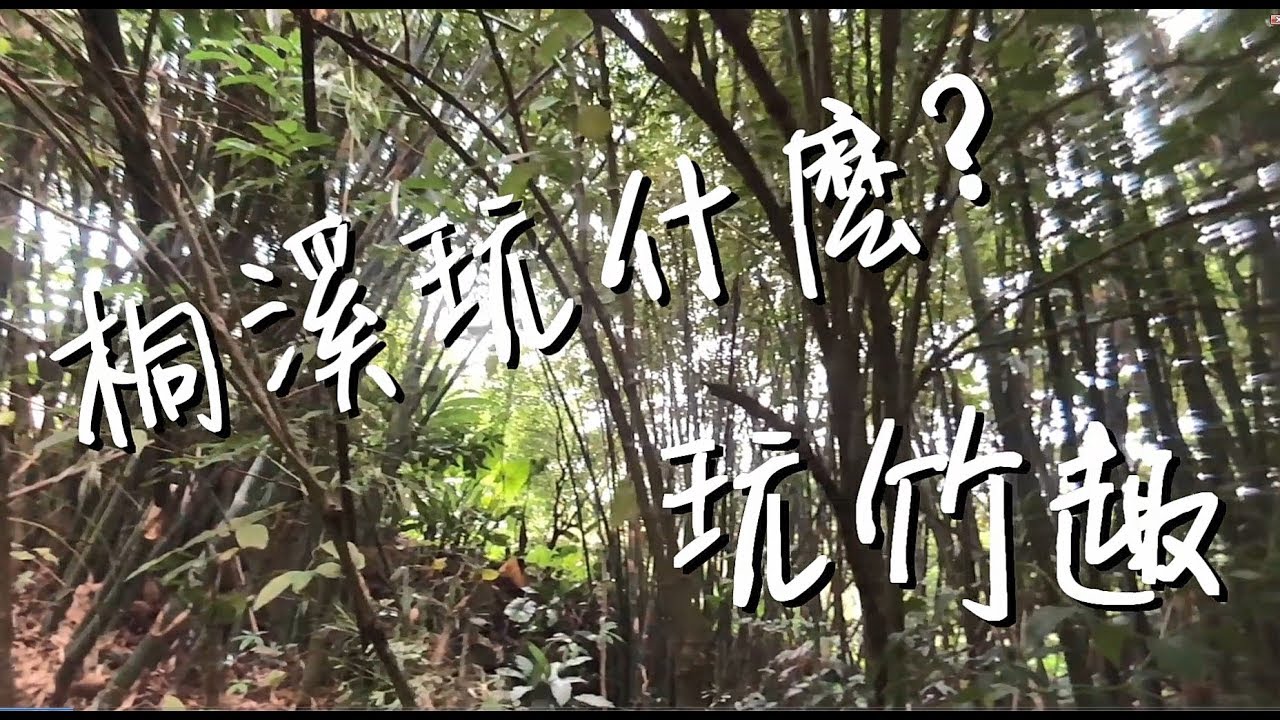 竹子可以玩什麼？桐溪日記【口羊太太】