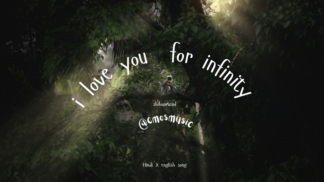 I Love You For Infinity  | Shibuprasad | Bhai beats