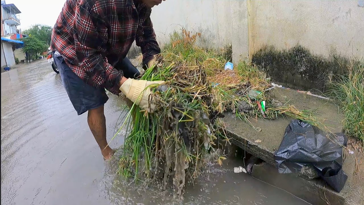 The Importance of Sewer Drain Cleaning Garbage Grass Full Raining Storm Flooding on the Street