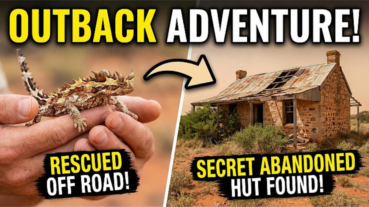 HISTORIC SHEPHERDS HUTT AND A DEVIL FROM THE DESERT